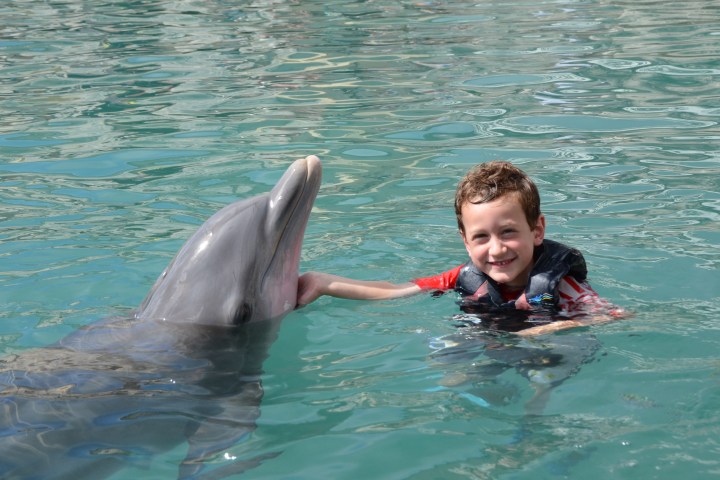 little boy smiling with dolphin