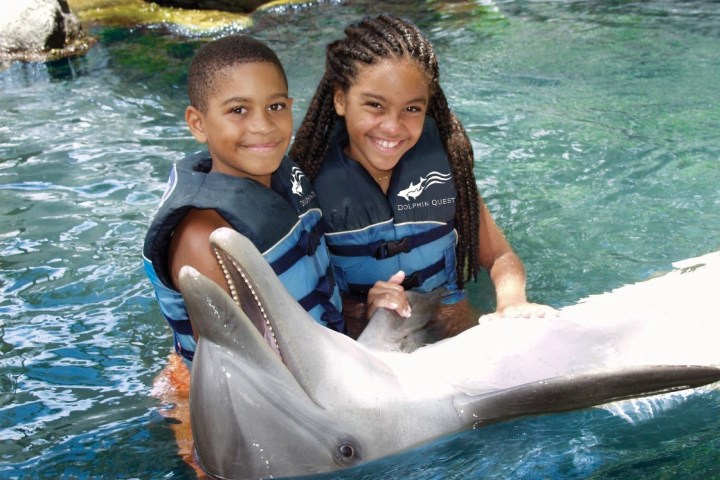 kids with dolphin