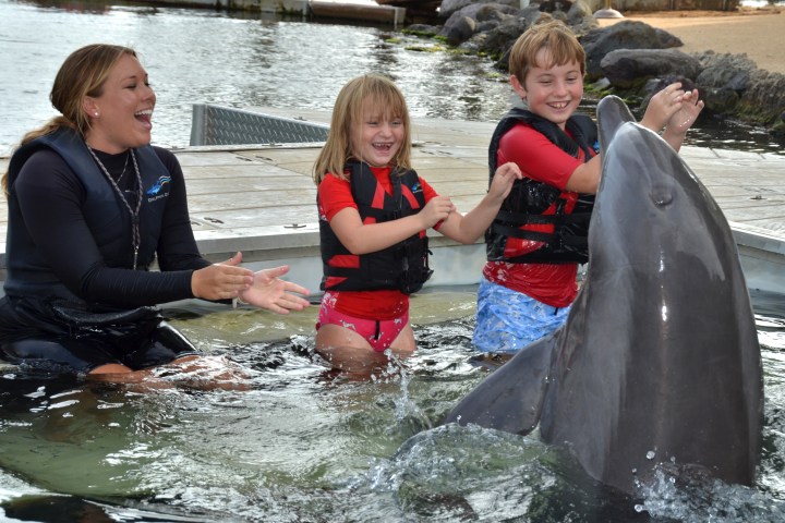 kids with dolphin