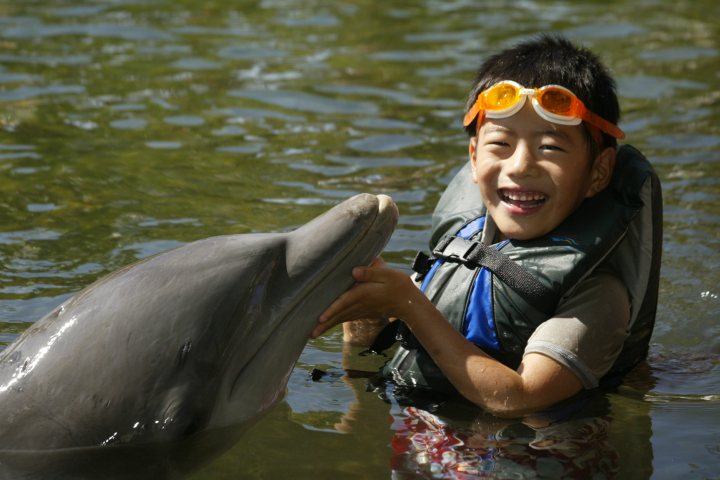 little boy with dolphin