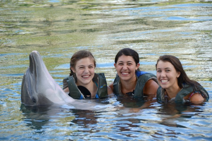 group of girls with dolphin
