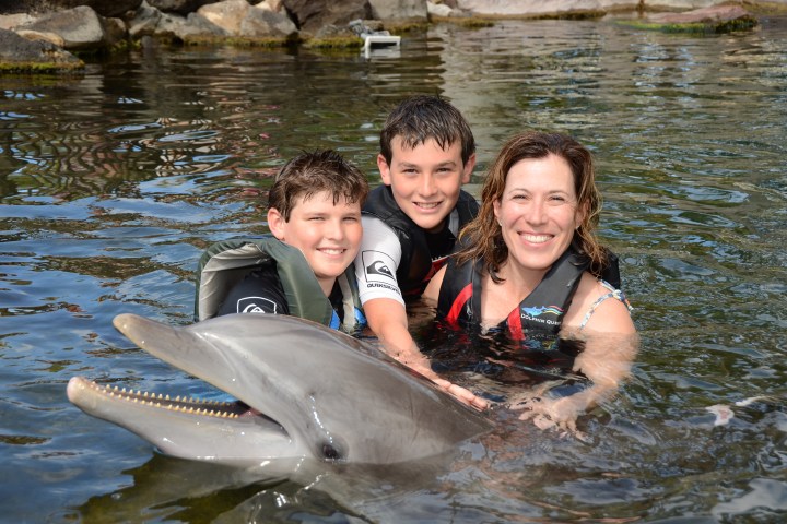 family with dolphin