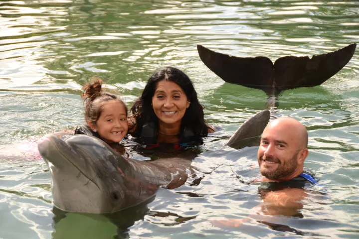 family with dolphin