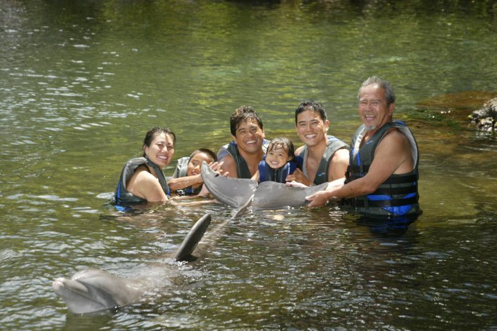 family with dolphin