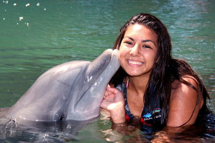dolphin kissing girl