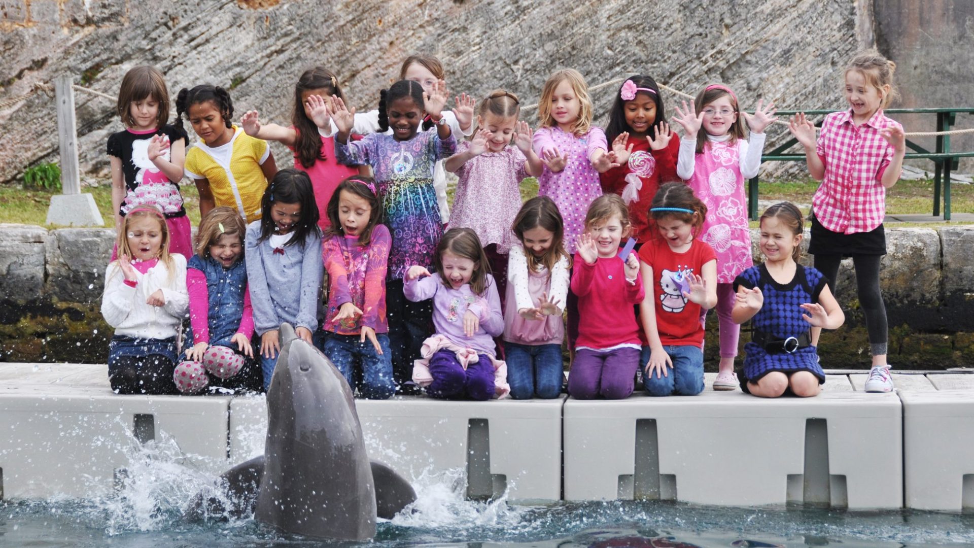 kids birthday party with dolphin
