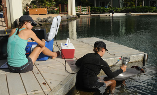 news_dqo_lungresearch3.0214