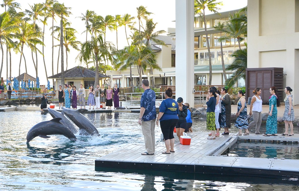 Guests also had the opportunity to see dolphins up close and learn about them from Dolphin Quest’s Marine Mammal Specialists.
