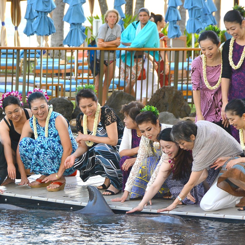 Women wearing beaded floral collars having a dockside dolphin tour experience.
