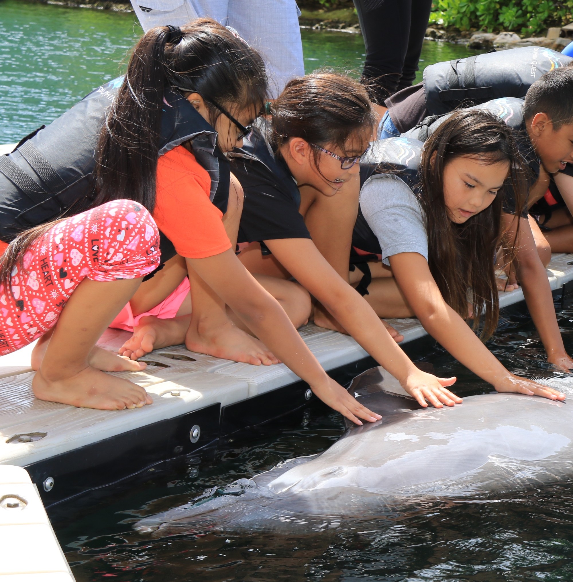 Kids wearing wetsuits having dockside dolphin tour experience. Kids wearing wetsuits having dockside dolphin tour experience.