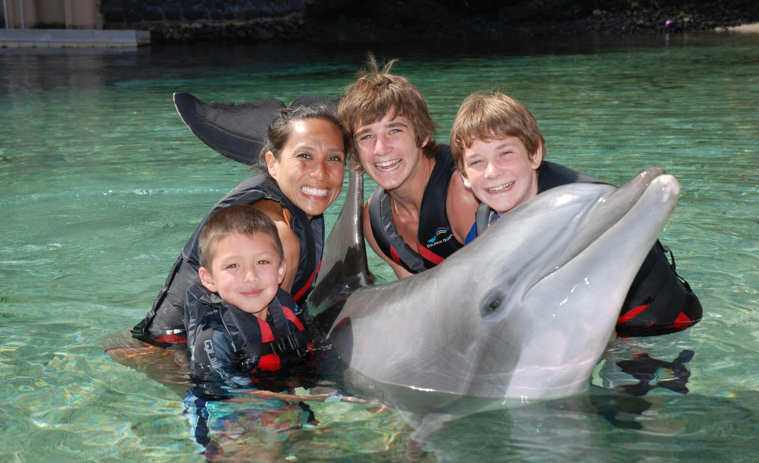 Dolphin Encounter on the Big Island | Dolphin Quest Hawaii
