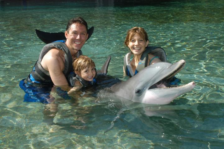 A family wearing wetsuits having a dolphin tour experience.