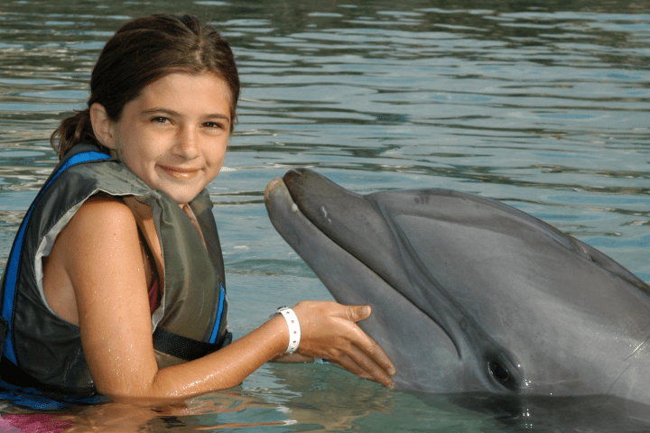 A little girl wearing wetsuit having a dolphin tour experience.