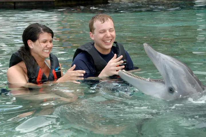 A young couple wearing wetsuits having a dolphin tour experience.