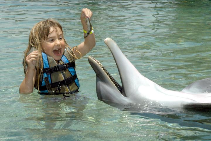 A little girl wearing wetsuit having a dolphin tour experience.