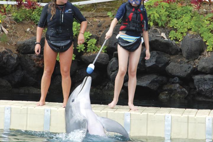 Two young women wearing wetsuits having dolphin training.