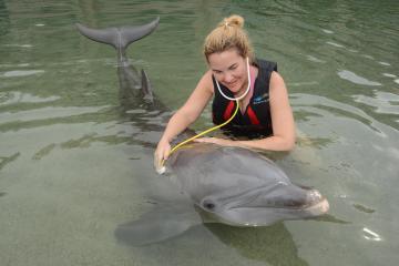 A girl with stethoscope and dolphin.