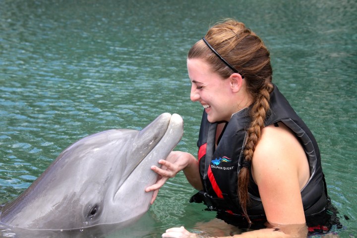 a person sitting on top of a dolphin in the water