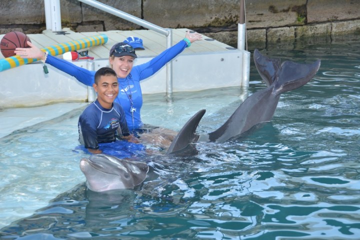 Two crew members in wetsuits training with a dolphin in a pool.