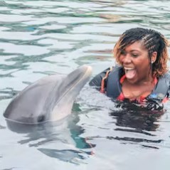 A dolphin interaction of a young woman in the pool.