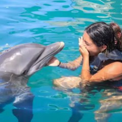A dolphin interaction of a young woman in the pool.