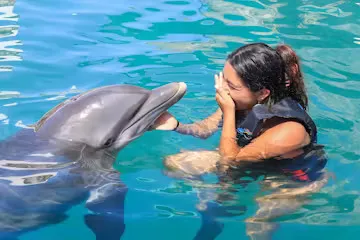 A dolphin interaction of a young woman in the pool.