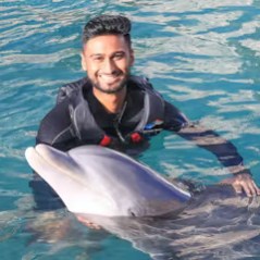 A dolphin interaction of a young man in the pool.