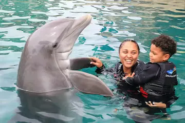 A dolphin interaction of a mother and her son in the pool wearing wetsuits.