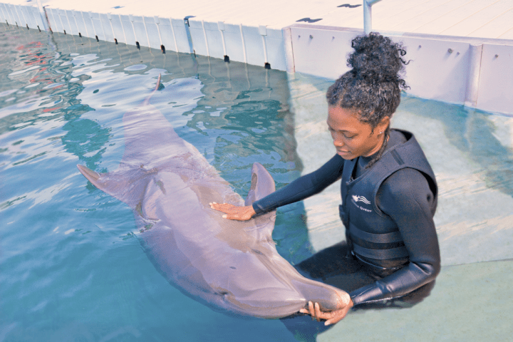 A young woman wearing wetsuit on a dolphin tour experience.