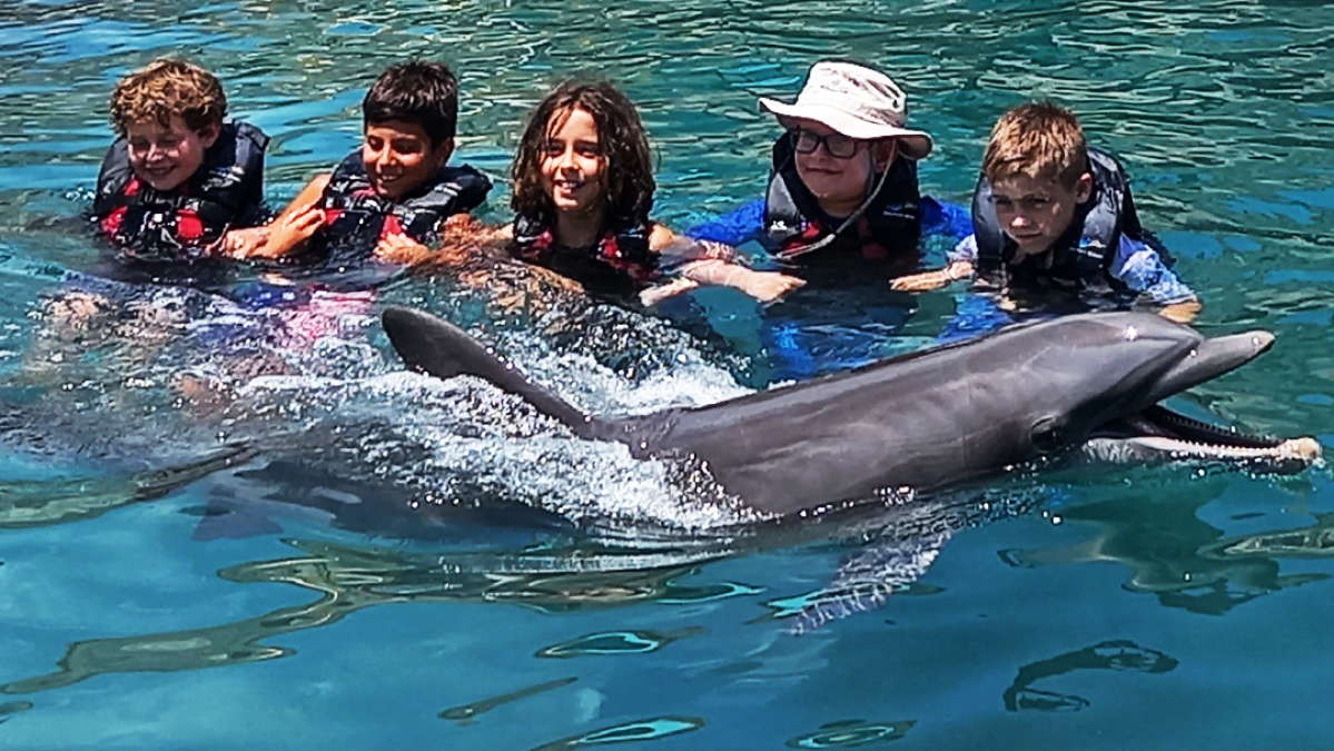 Dolphin encounter of young children wearing wetsuits in the pool.