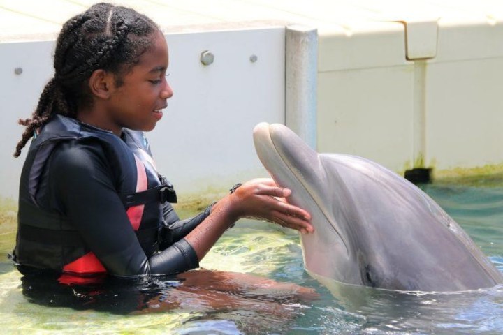 A young girl wearing wetsuit having dolphin tour experience.