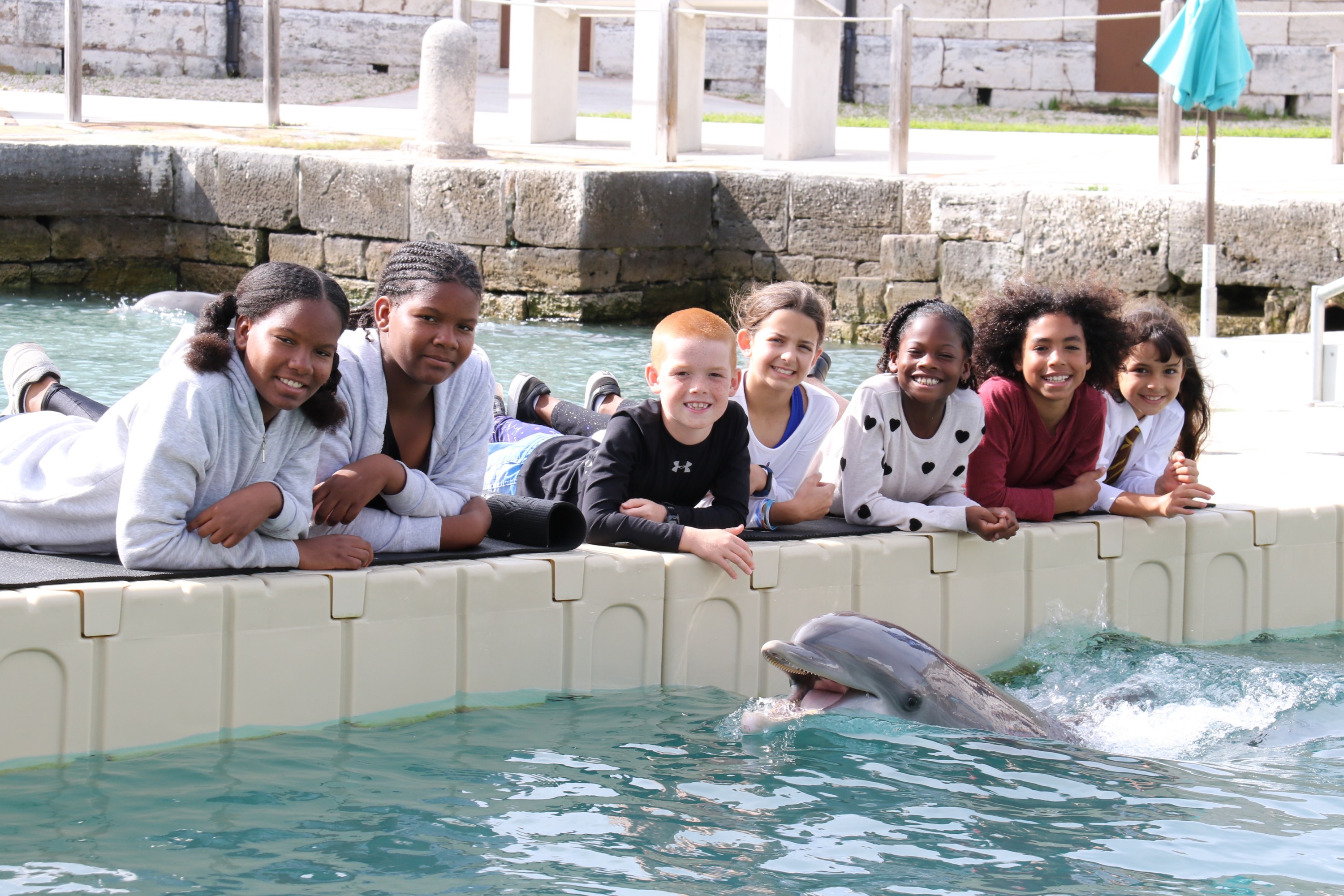 A group of students on a dockside dolphin experience.