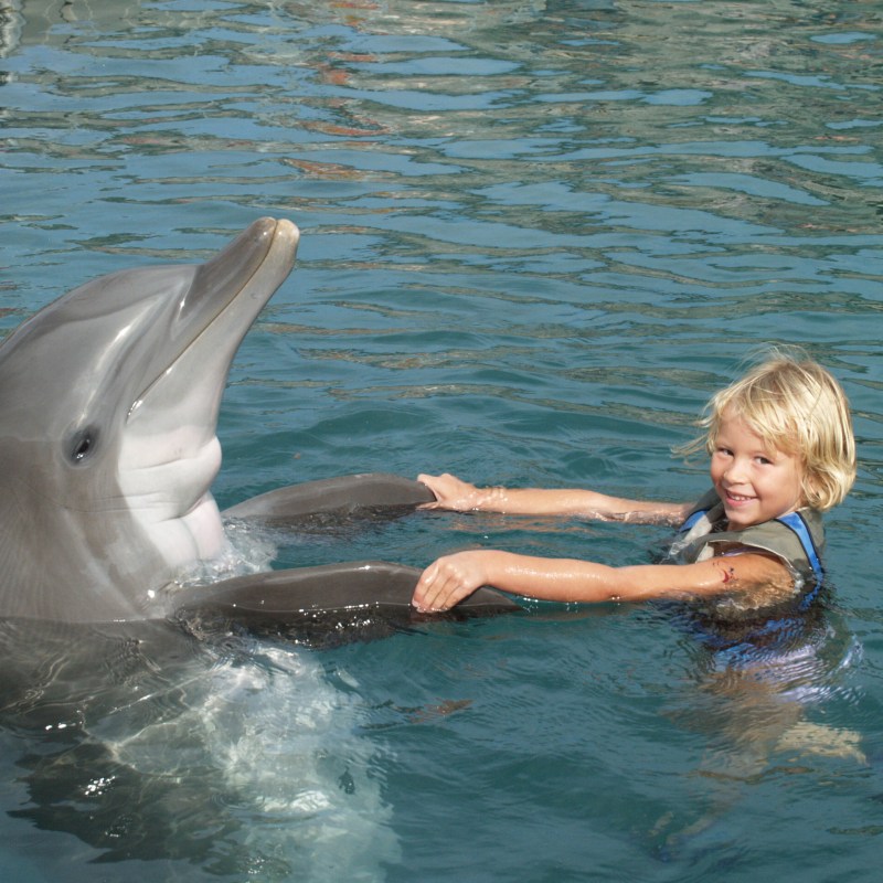 A little girl wearing wetsuit on a dolphin experience tour.