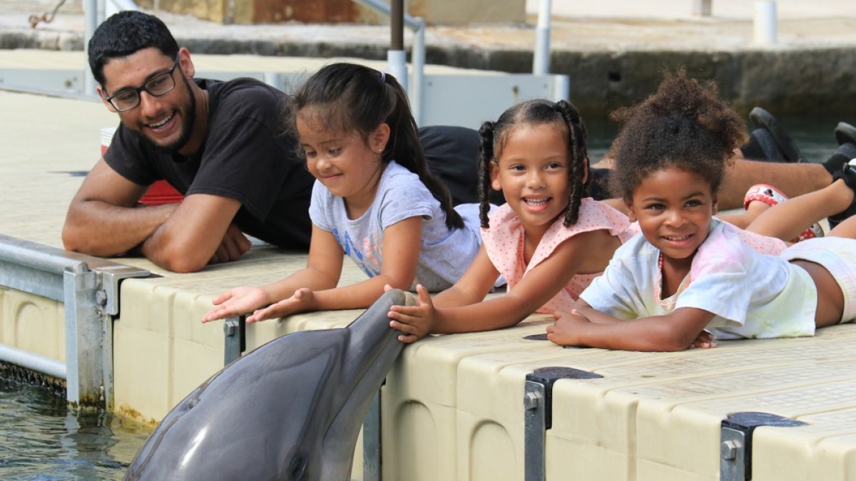Dolphin encounter of little children and an adult in the pool.