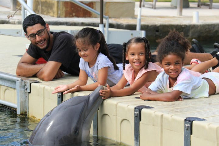 Dolphin encounter of little children and an adult in the pool.