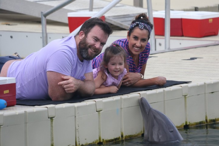 Dolphin encounter of a family in the pool.