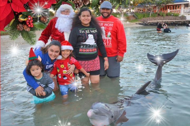 Holiday Dolphin Celebration and Photos with Santa