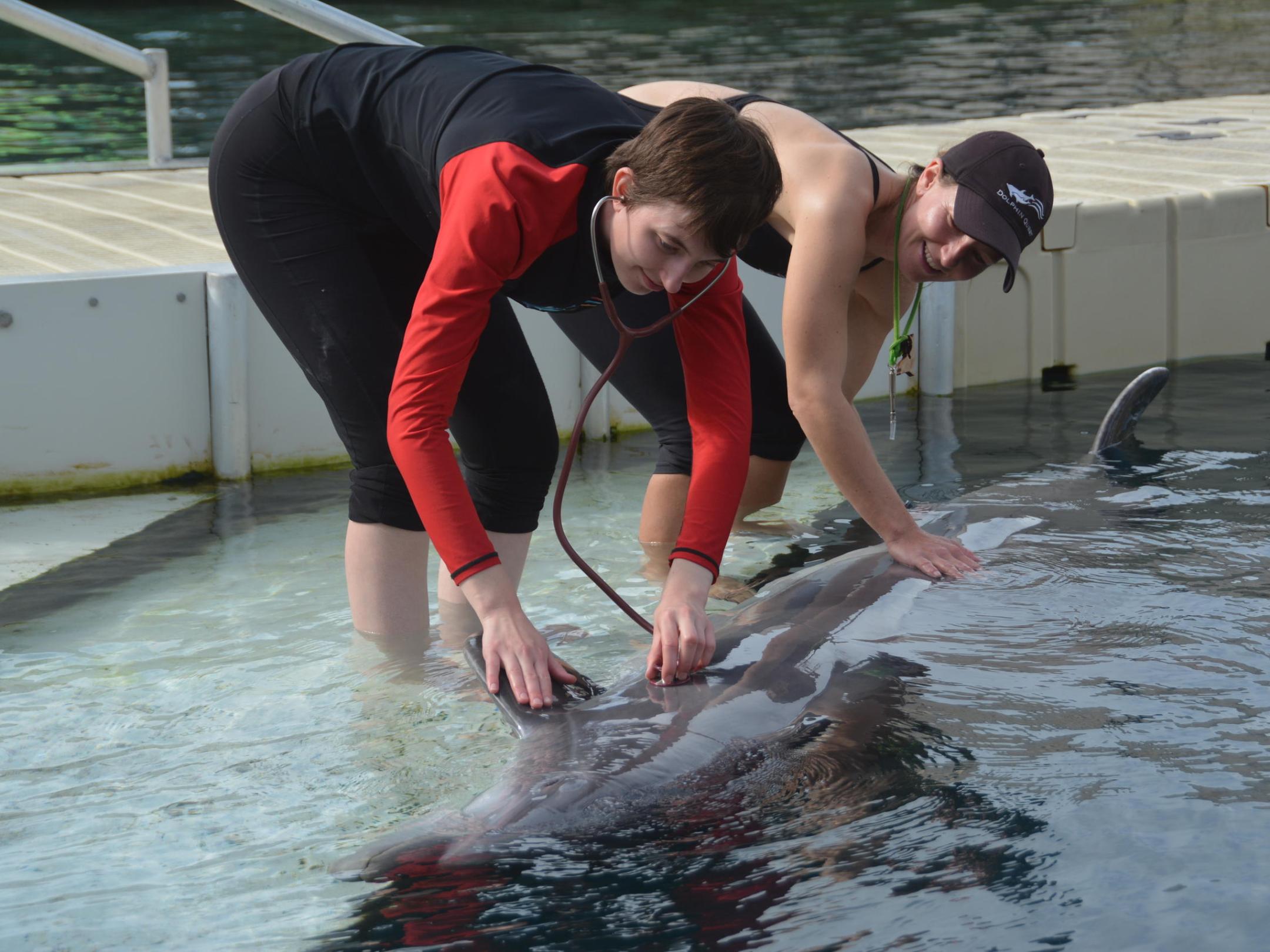 Two young women having a marine mammal care workshop.