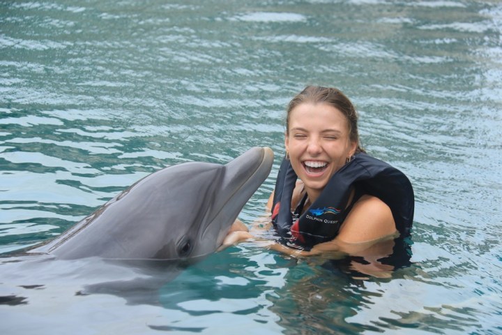 A young girl having dolphin interaction in the pool.