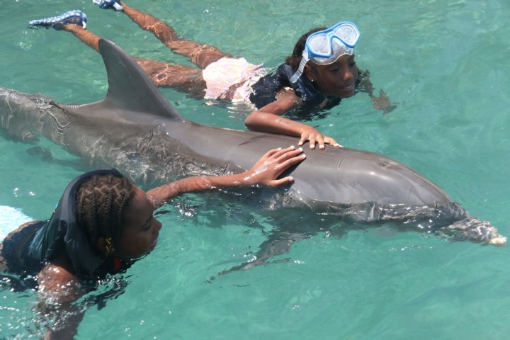 Mother and daughter wearing wetsuits swims with the dolphin in the pool.