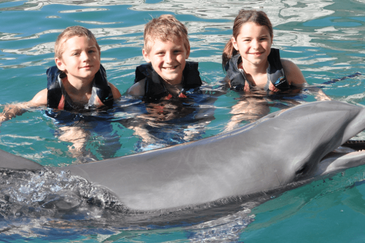 Little kids wearing wetsuits having dolphin experience in the pool.