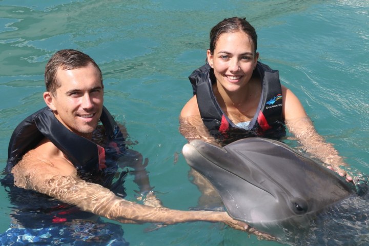 Young couple wearing wetsuits touching the dolphin in the pool.