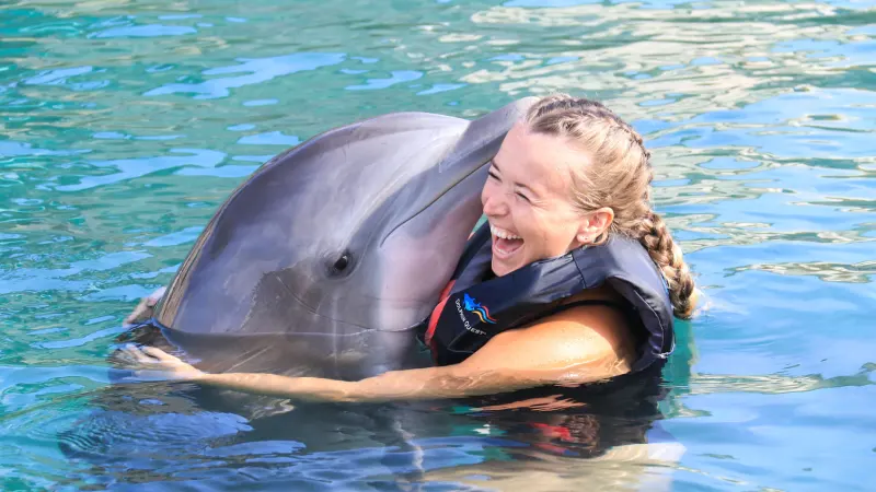 A young woman having an interaction with a dolphin in the water.