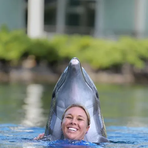 Dolphin interaction of a woman in the water.
