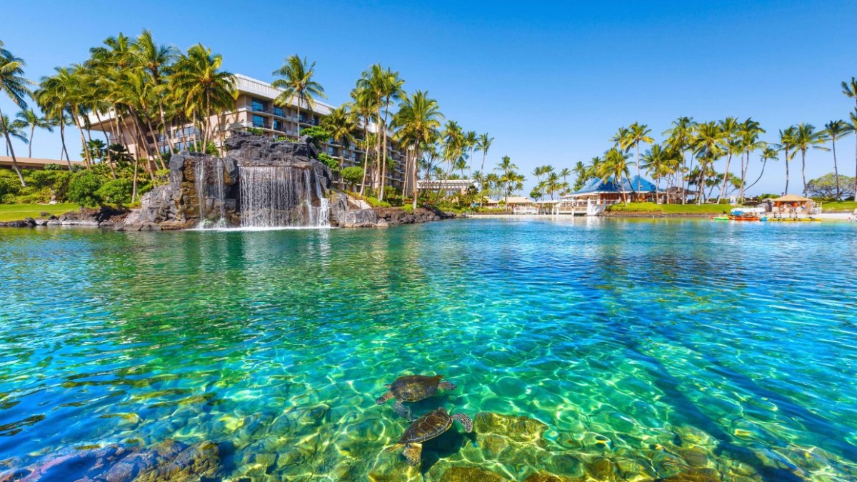 Crystal clear blue water by resort with sea turtles swimming.