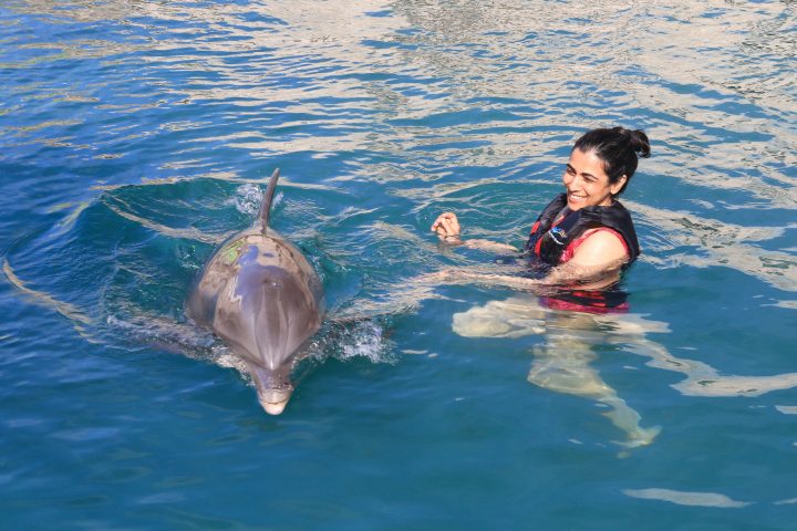 Dolphin interaction of a young woman wearing wetsuit in the pool.