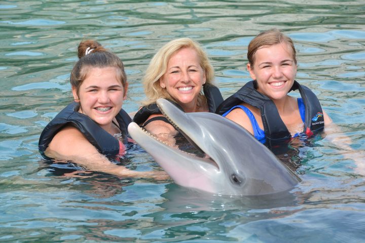 Dolphin interaction of a family wearing wetsuits in the pool.