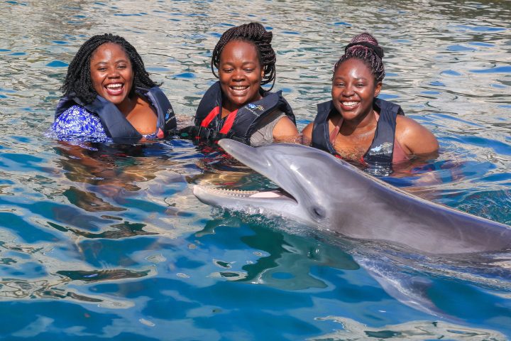Dolphin interaction on a group of young woman wearing wetsuits in the pool.