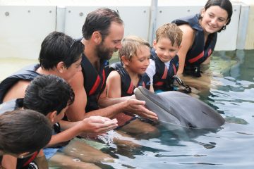 Dolphin interaction of a family wearing wetsuits in the pool.