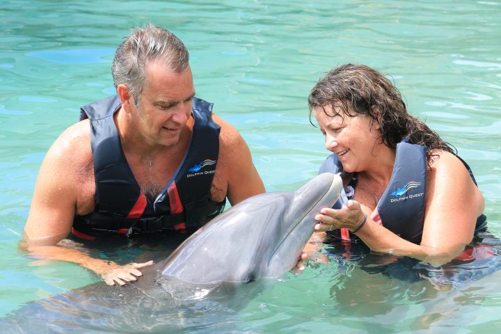 Dolphin interaction of a couple wearing wetsuits in the pool.